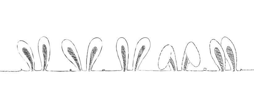 Draw sketch outline rabbit black and white color.