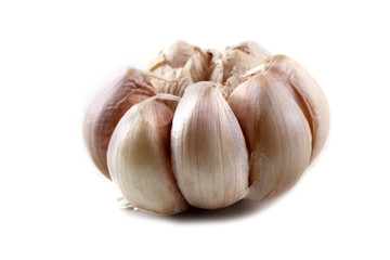 Garlic isolated on white