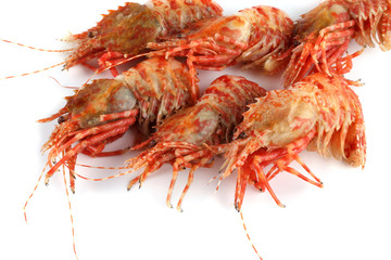 Shrimps isolated on white (northern Bering shrimp)