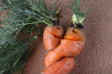 Funny carrots couple
