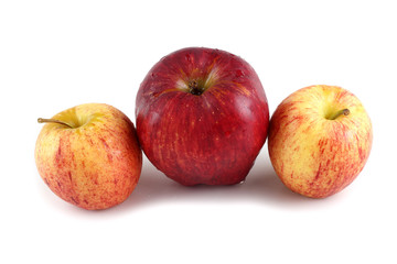Fototapeta na wymiar Different color apples