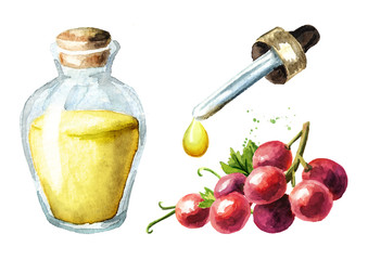 Red Grape essential oil set. Hand drawn watercolor horizontal  illustration  isolated on white background