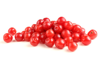 Nanking cherry isolated on white