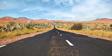 Road leading from Ranohira to town Ilakaka, small bushes and palm trees on sides, hills in distance - typical Madagascar landscape