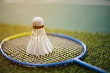 badminton racket and shuttlecock on strings
