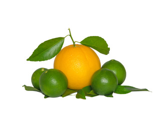 Fresh homemade lemonade in a bottle on the table. Rustic Style. Selective focus