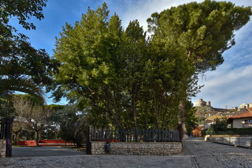 Montesarchio, Italy, 02/29/2020. An avenue runs alongside a public park in a medieval village