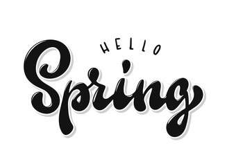 Hello Spring hand lettering quote on white background for posters, banners prints, cards, etc