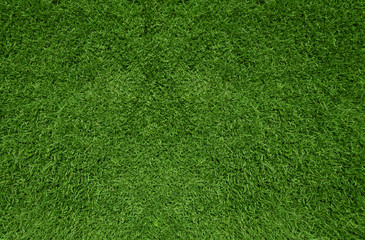  Green Grass  Background
