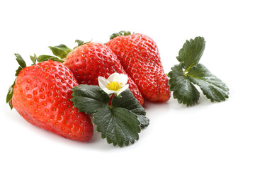 Strawberries and flowers isolated on white background