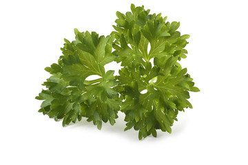 Parsley isolated on white