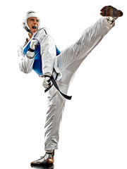 Taekwondo fighter man isolated white background