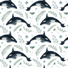 Watercolor seamless pattern with Arctic killer whale and decorative plants elements on the white background. Funny kids illustration. Ideal for children's textile, wrapping, and other designs.