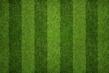  Green Grass  Background