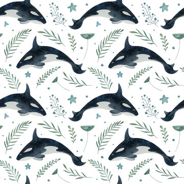 Watercolor seamless pattern with Arctic killer whale and decorative plants elements on the white background. Funny kids illustration. Ideal for children's textile, wrapping, and other designs.