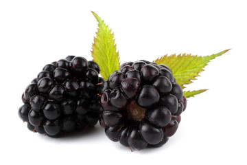 Blackberry and leaf
