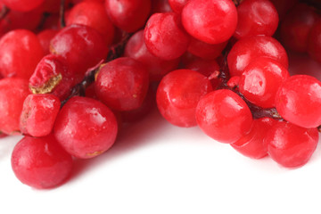 Schisandra Chinensis isolated on white
