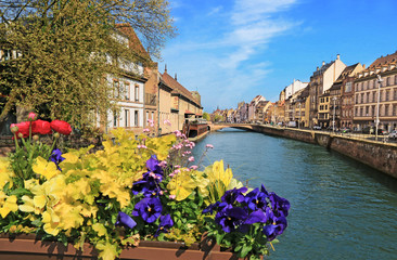 Fototapeta na wymiar Maisons de style alsacien au bord de l'Ill dans la petite France à Strasbourg.