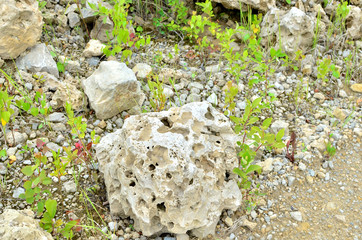 Natural stone dolomite in the limestone open-pit. Building materials, wall background, texture