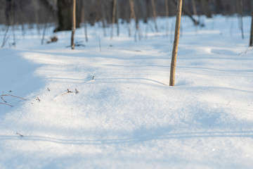 A snowy surface with reflections of the sun in the early morning