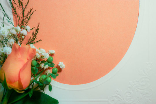 A peachy orange rose flower bud with white baby's breath (Gypsophila) and green hypericum berries against a peachy orange background with an oval frame, with copy space