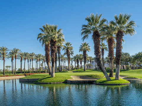 Water feature on a golf course in Palm Desert.	