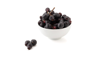 Syzygium cumini, black plum, jamun or Syzygium cumini