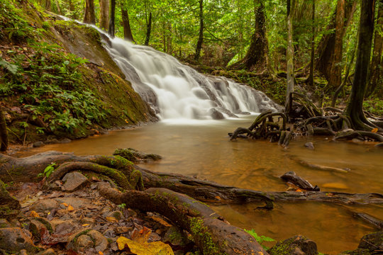 รูปภาพManora – เลือกดูภาพถ่ายสต็อก เวกเตอร์ และวิดีโอ558 | Adobe Stock