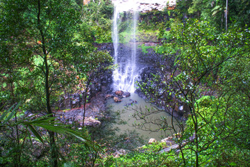 Rainbow Falls and Rain forest at the Springbrook National Park Queensland Australia 