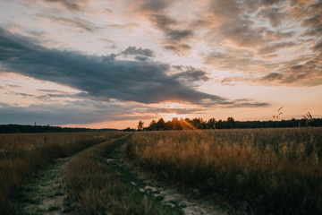 sunset over field