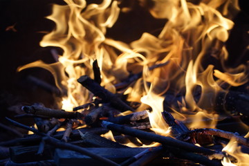 Wild Fire at a barbecue on great night