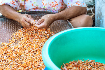 Close up to an eldery female fisherman use small knife to cut out unwanted parts of the shrimp,...
