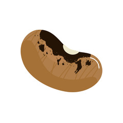 bean seed organic isolated icon vector illustration design