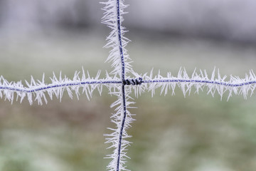 kreuz drahtzaun im winter mit eiskristallen vor verschwommenem hintergrund blass grün