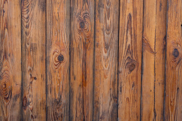 Background tree. Wood texture. Wood wall