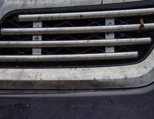 
dirty radiator grill covered in insects