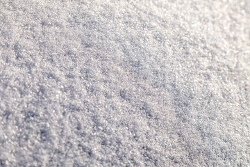 Snow Covered Field On A Sunny Day. Snow Texture Background