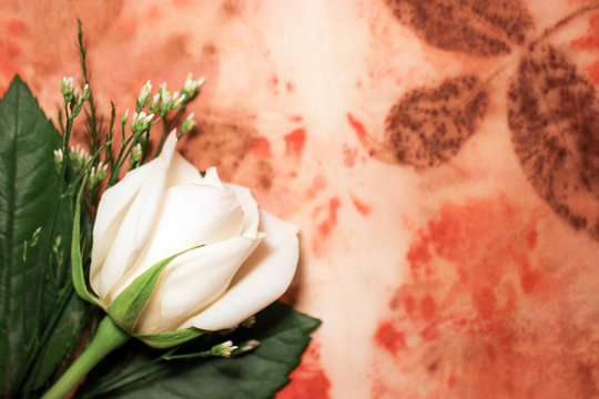 A fresh white rose flower against a background of rust, cream, and brown eco-printed silk, with copy space