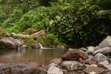 Naklejka na ściany i meble View of river in the rainforest, bogor Indonesia