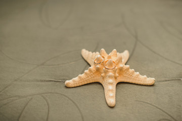 Gold wedding rings on starfish on olive background with copy space