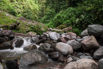 View of river in the rainforest, bogor Indonesia