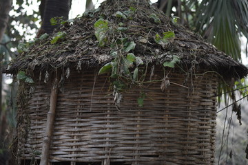 HUT WITH PLANTS ON ROOF
