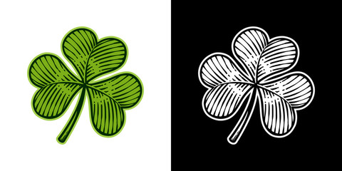 Vector illustration of trefoil clover in vintage engraving style; color and black & white versions, isolated on white and black background.