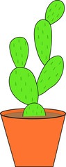 One cactus in a pot on a white background. Isolated object.