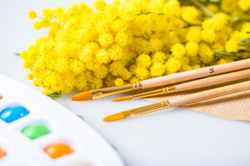 Paint brushes and color palette set on white artist table with branch of yellow mimosa on a background.