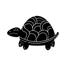 black turtle wise turtle symbol of longevity