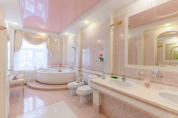 Russia, Moscow- November 04, 2019: interior room apartment modern bright cozy atmosphere. general cleaning, home decoration, bathroom, sink, decoration elements, toilet