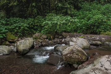 Fototapeta na wymiar View of river in the rainforest, bogor Indonesia