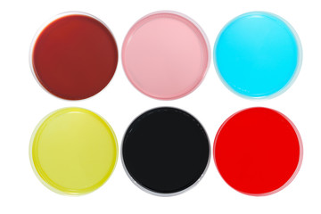 Different colours petri dishes for experiments in a science laboratory