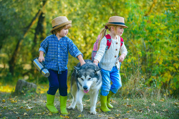 Naklejka na ściany i meble Daughter and son. Toddlers age. Kids spending time together with a dog in field. A little blond girl and cute boy with her pet dog outdooors in park.